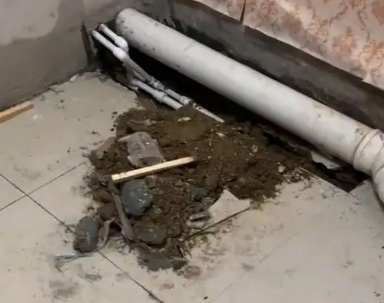 鸡西卫生间漏水检测哪家好